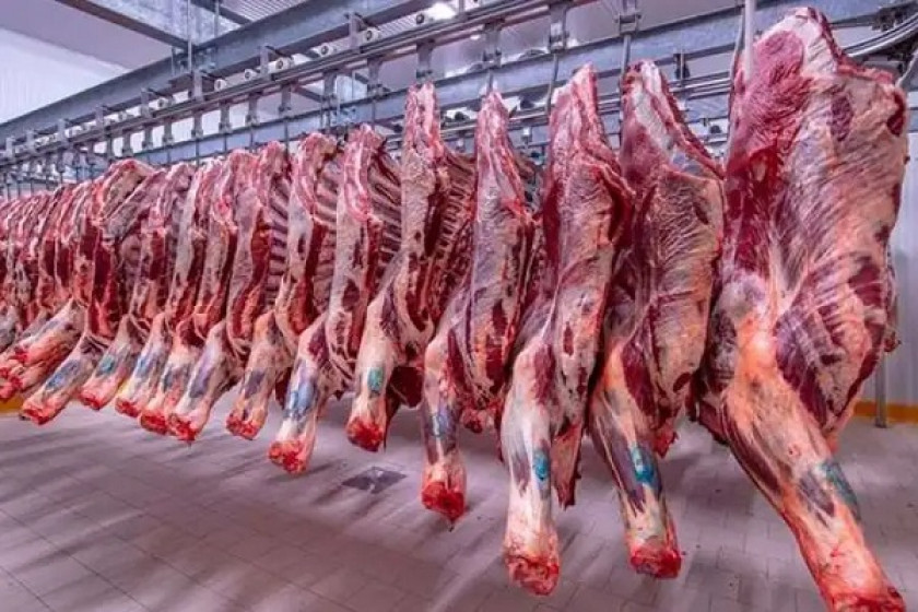 وزير التموين: ضخ اللحوم والدواجن بتخفيضات تصل إلى 20% عن الأسواق استعدادًا لعيد الأضحى